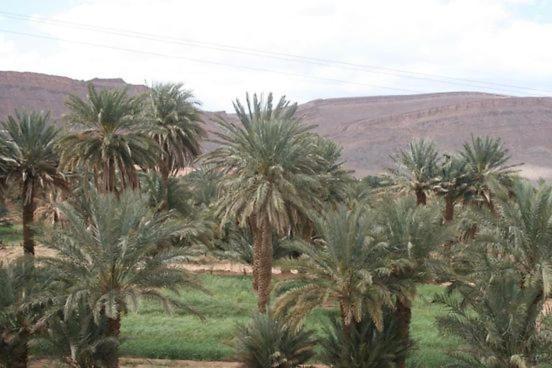 Maggaman Guest House Tafraoute Sidi Ali Экстерьер фото